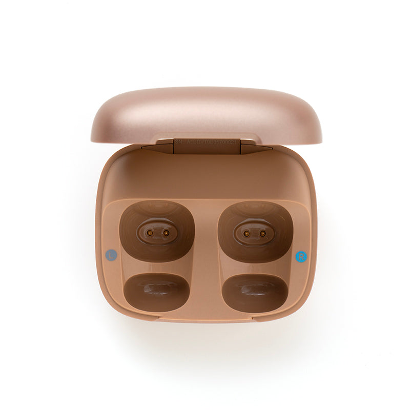 Anker soundcore C40i Ladecase