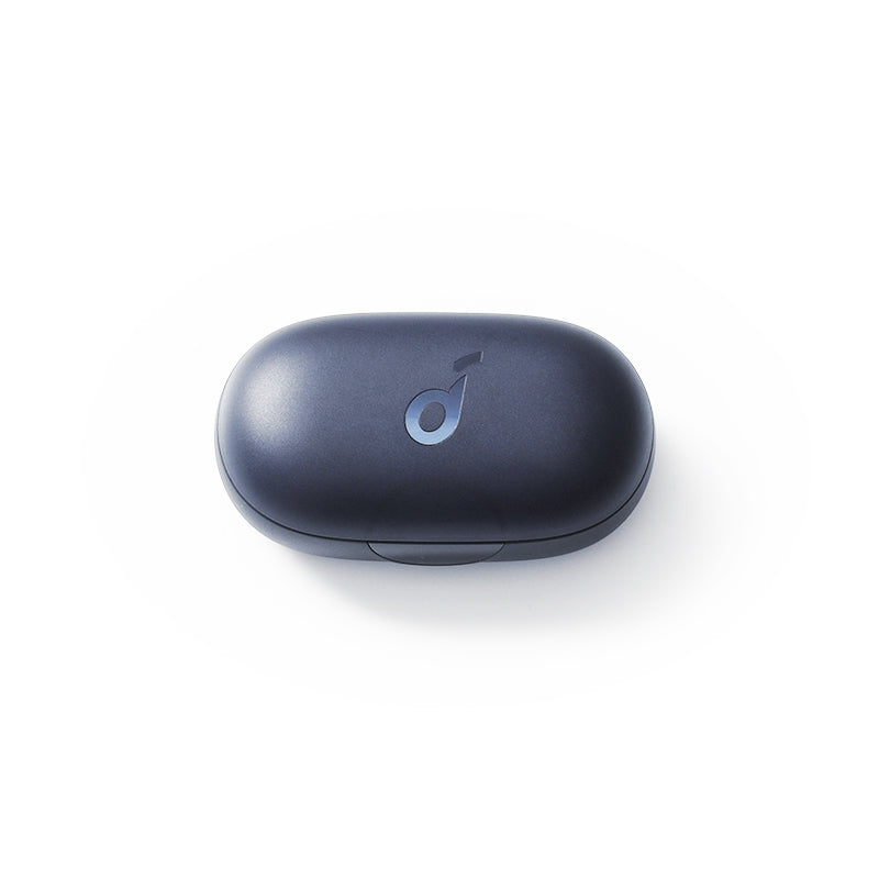 Anker soundcore Sport X10 Ladecase - Schwarz