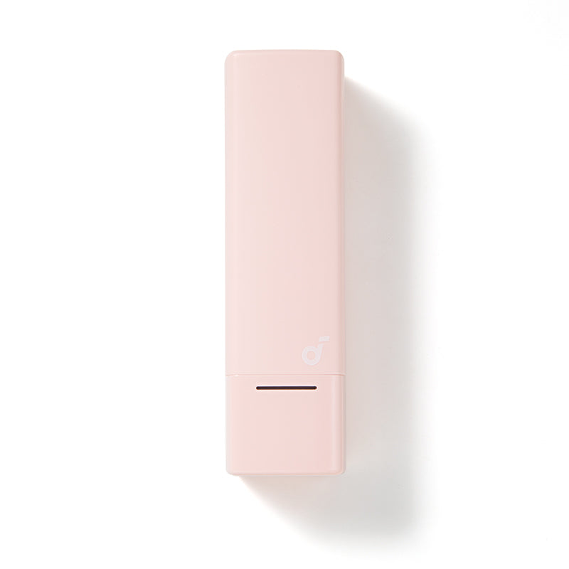 Anker soundcore A30i Ladecase