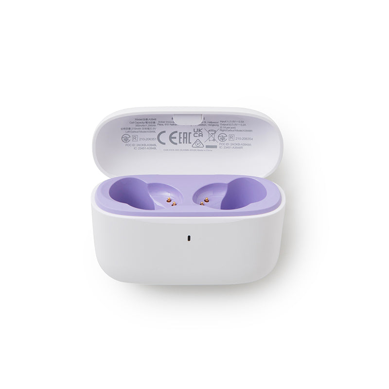 Anker soundcore A20i Ladecase