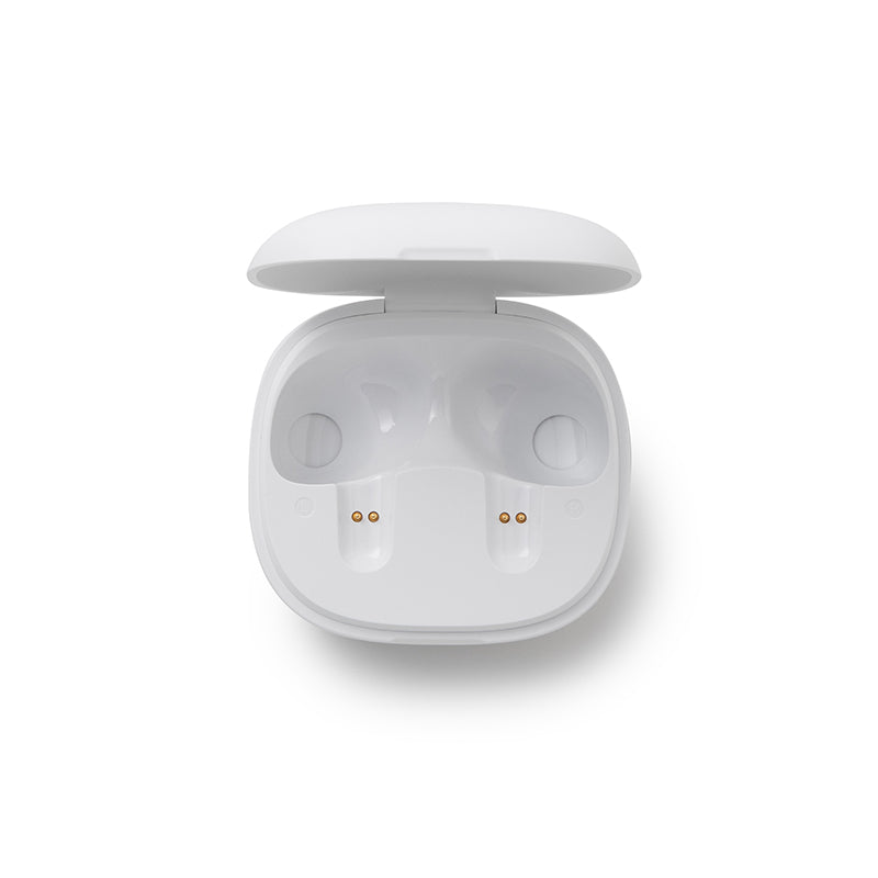 Anker soundcore P20i Ladecase