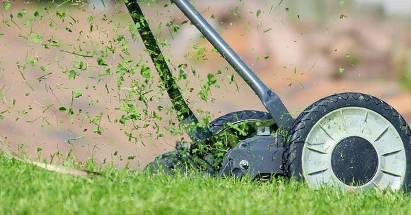Die beste Akku-Rasenmäher 2026: Die Top 9 Empfehlungen für Rasenpflege