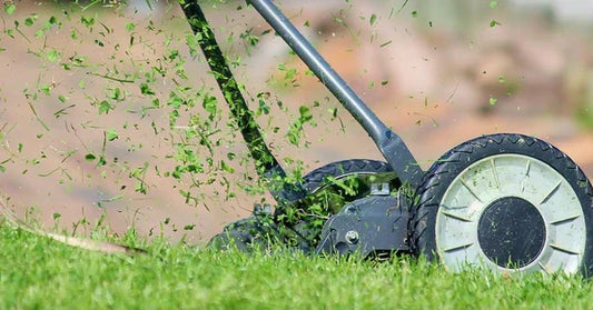 Die beste Akku-Rasenmäher 2026: Die Top 9 Empfehlungen für Rasenpflege