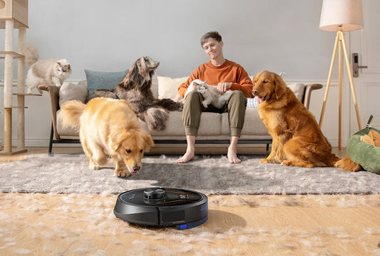 Bester Staubsauger Roboter 2026