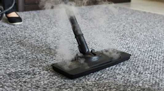 Wie bekommt man Hundegeruch aus dem Teppich: Effektive Tipps und Tricks