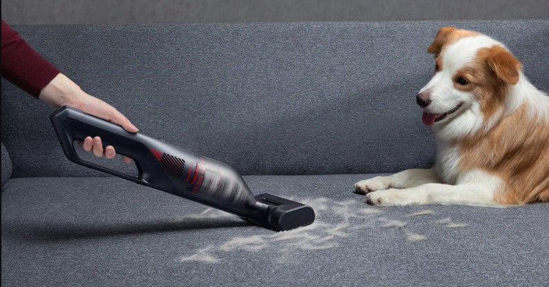 Bester kabelloser Staubsauger für Tierhaare 2026 für Ihr Zuhause