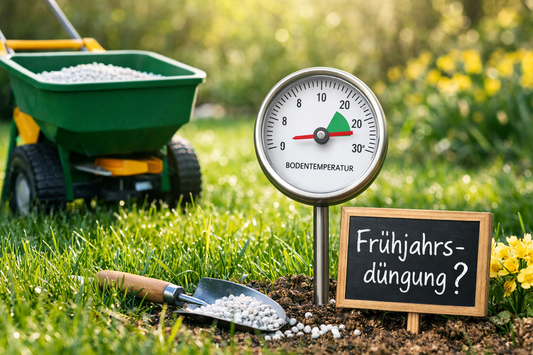 Wann sollte man den Rasen im Frühjahr düngen? Der beste Zeitpunkt für gesundes Wachstum