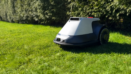 Mähroboter und Igelschutz: Warum das wichtig ist und worauf Sie achten sollten
