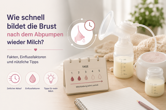 Wie schnell bildet die Brust nach dem Abpumpen wieder Milch?