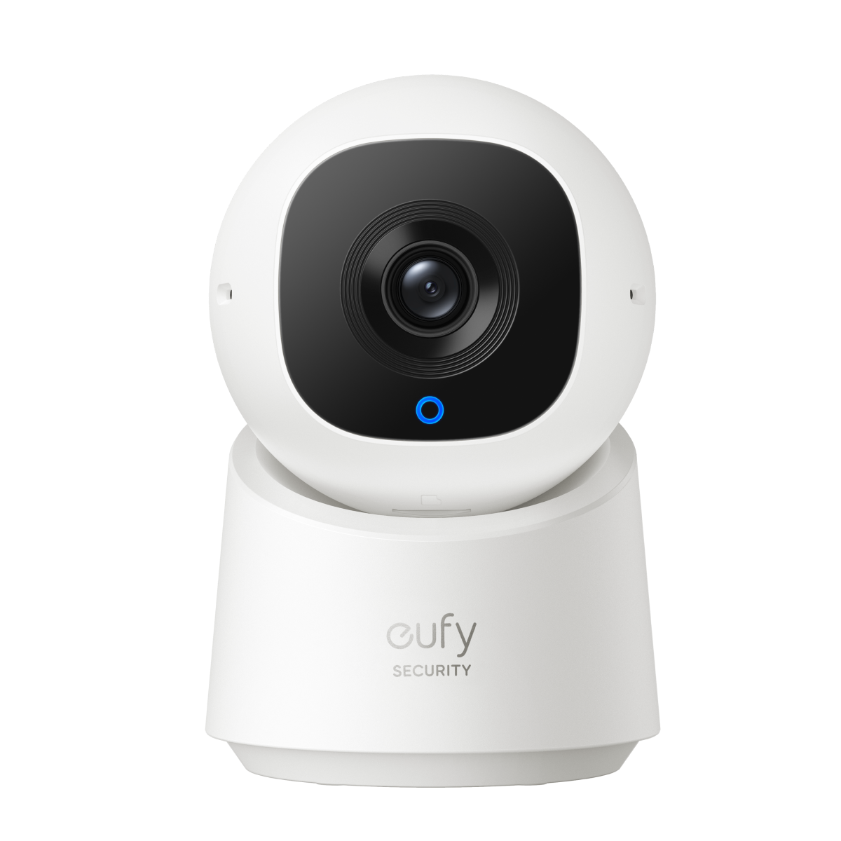 Indoor Cam C220