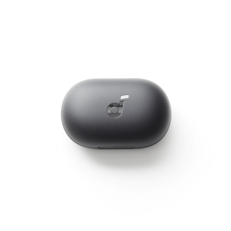 Anker soundcore Space A40 Ladecase  - Schwarz