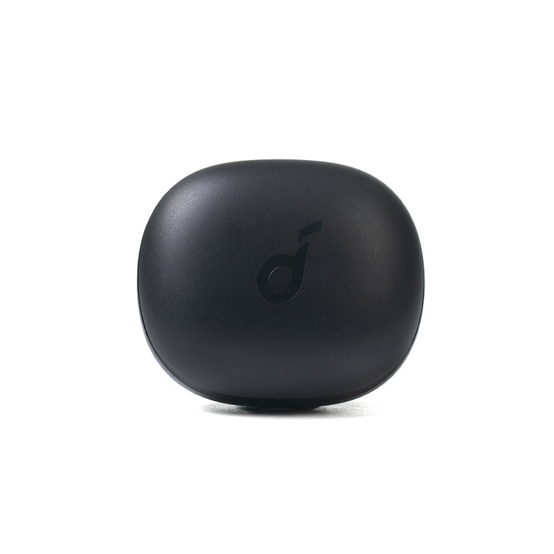 P3 Earbuds Ladecase - Schwarz