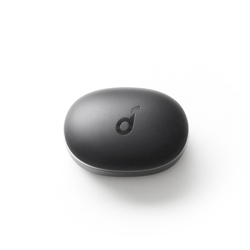 Anker soundcore P2 Mini Ladecase  - Schwarz