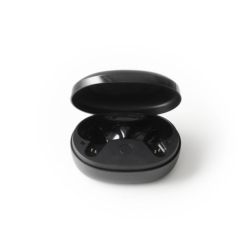 Anker soundcore P2 Mini Ladecase  - Schwarz