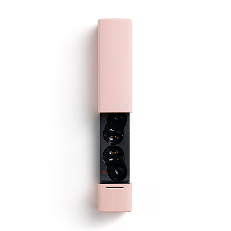 Anker soundcore A30i Ladecase