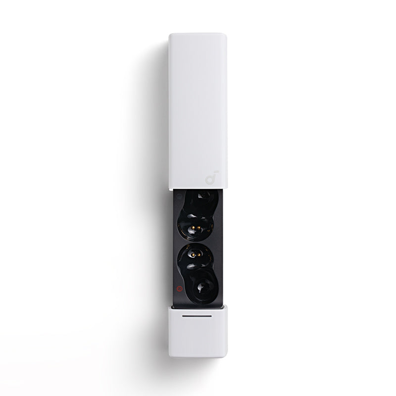 Anker soundcore A30i Ladecase