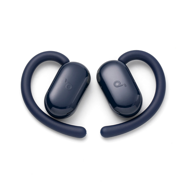V20i  linker und rechter Ersatz-Earbud