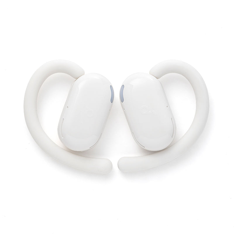 V20i  linker und rechter Ersatz-Earbud