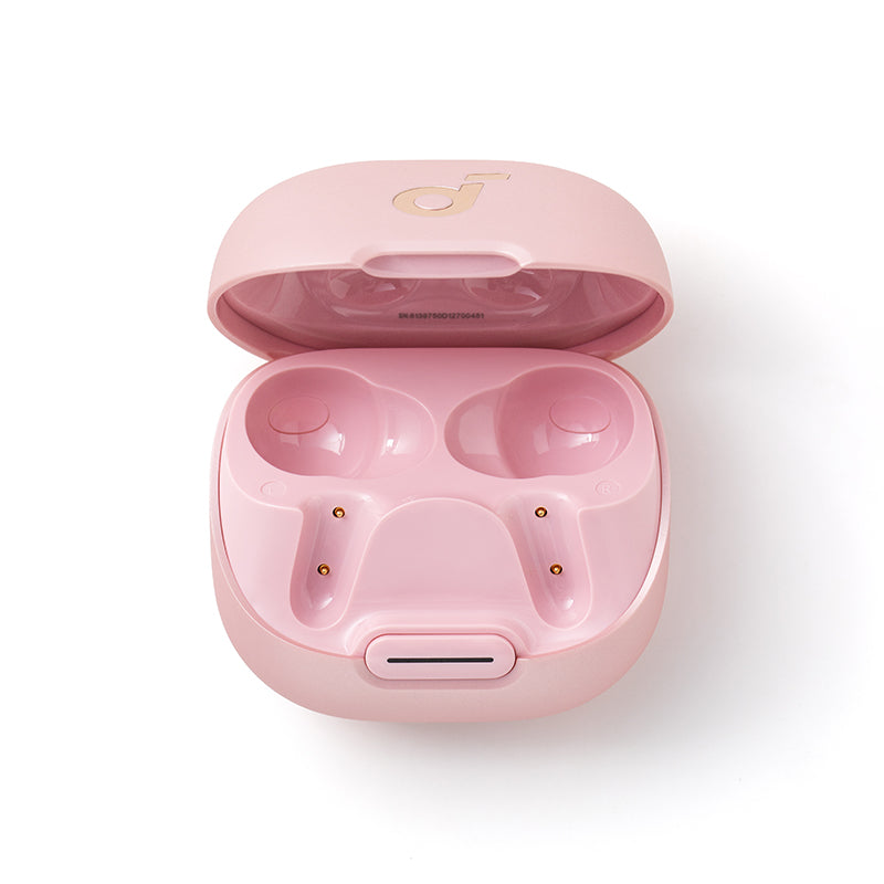 Anker soundcore Liberty 4 NC Ladecase