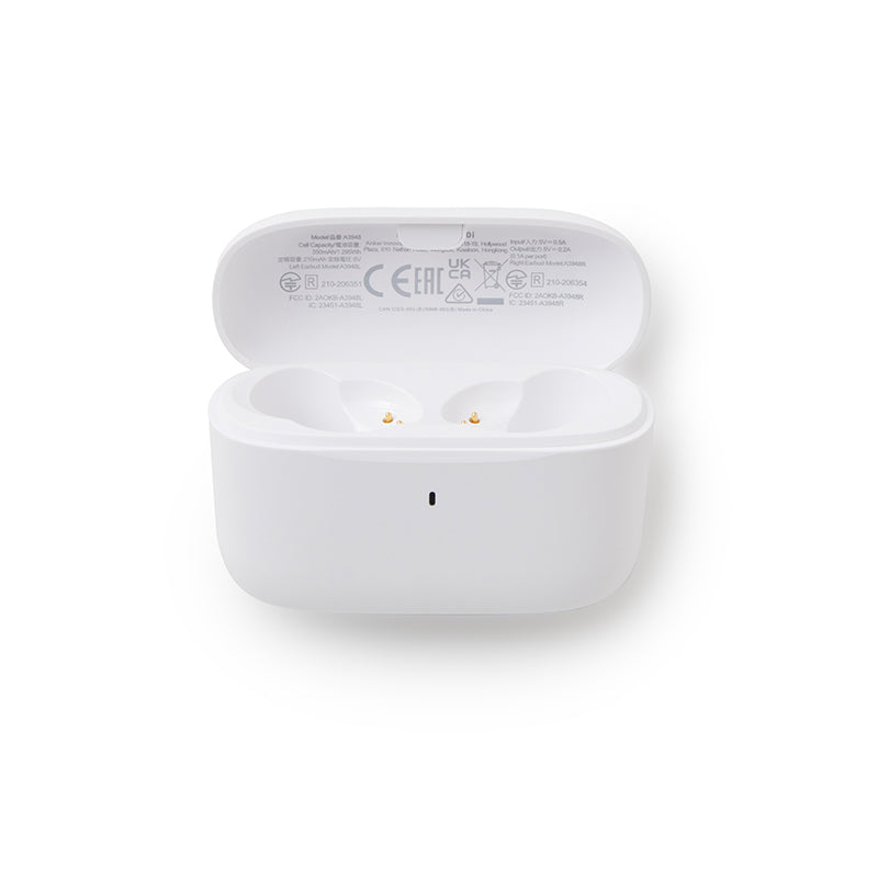 Anker soundcore A20i Ladecase