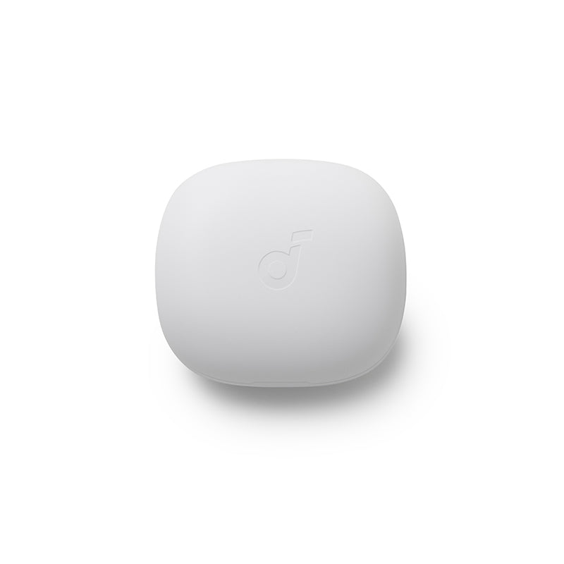 Anker soundcore P20i Ladecase