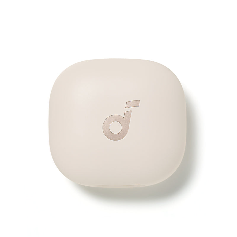 Anker soundcore P40i Ladecase