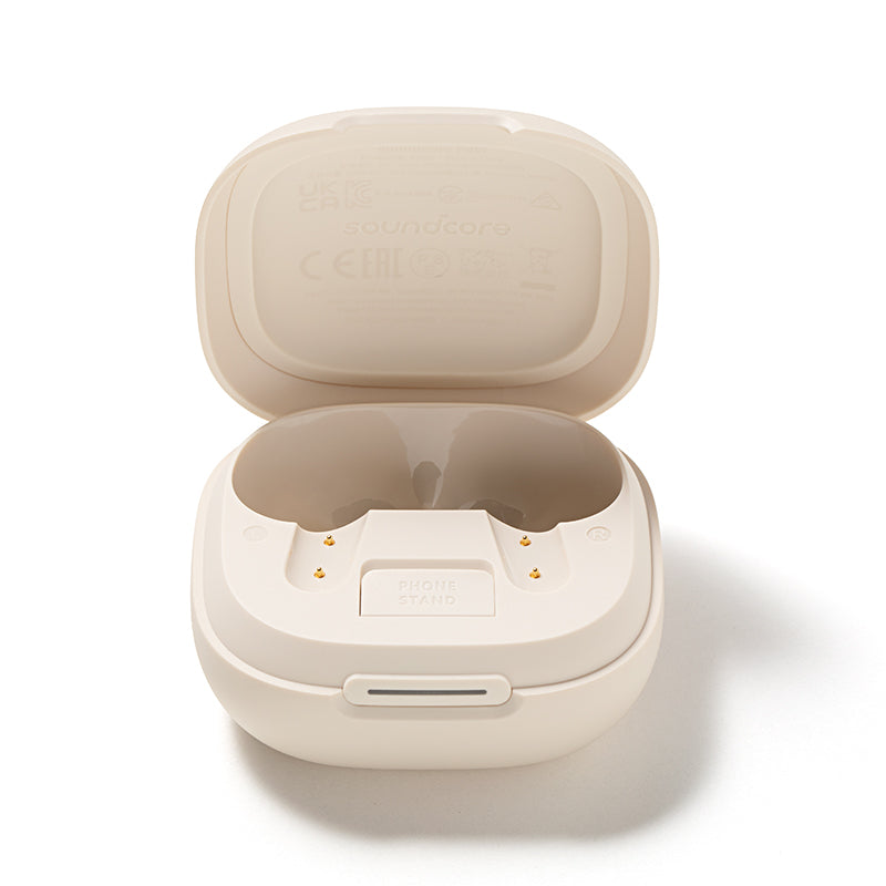 Anker soundcore P40i Ladecase