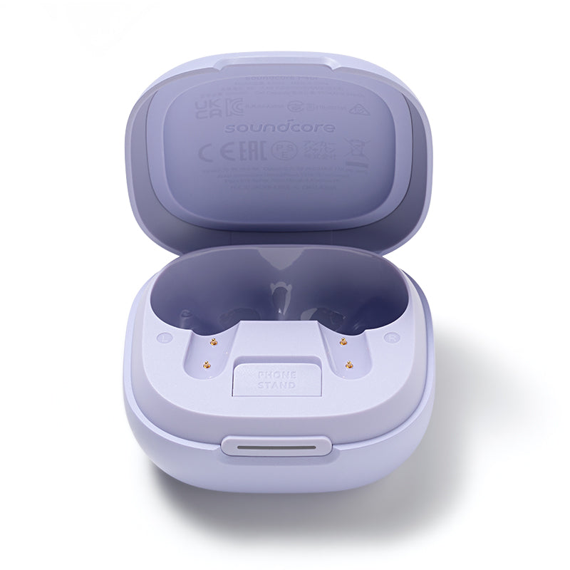 Anker soundcore P40i Ladecase