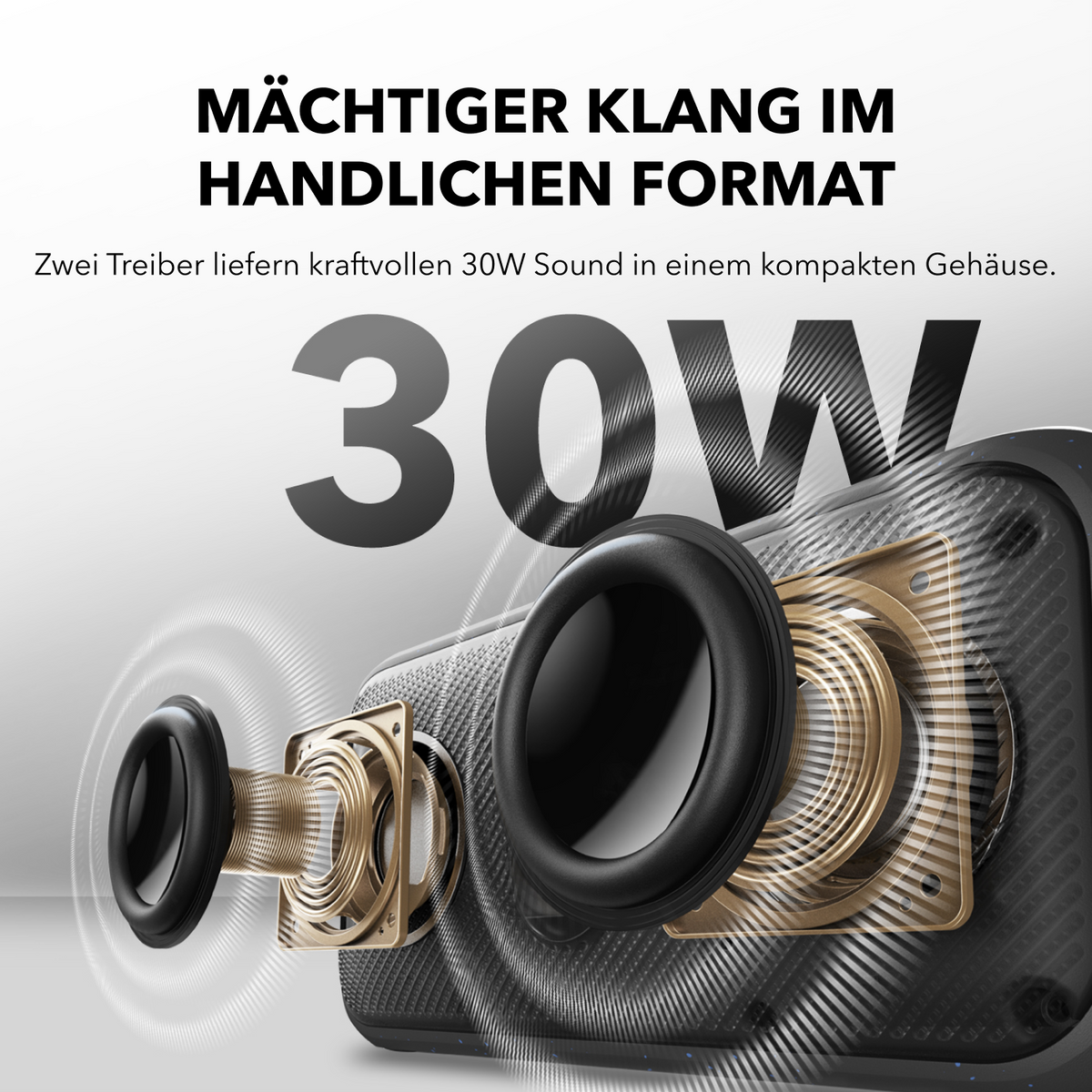 Motion 300  (Generalüberholt)