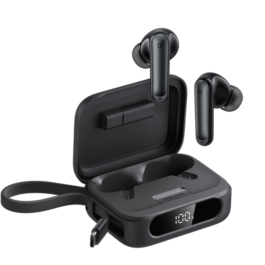 P41i | Earbuds mit Handy-Ladefunktion (Privat)