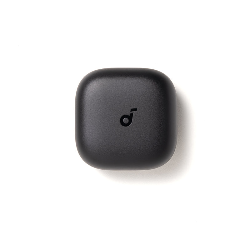 Anker soundcore P31i/R60i NC Ladecase