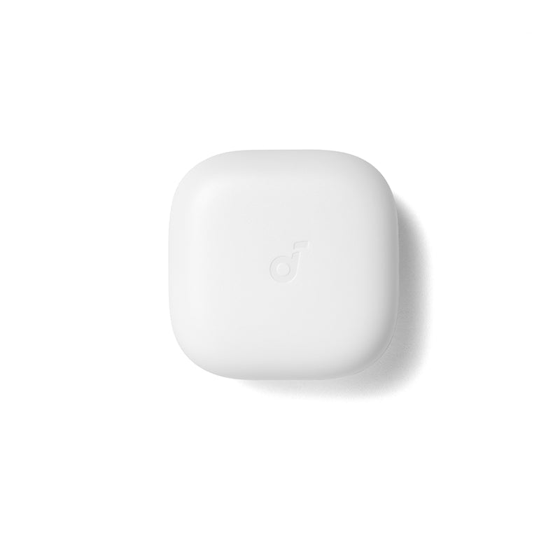 Anker soundcore P31i/R60i NC Ladecase