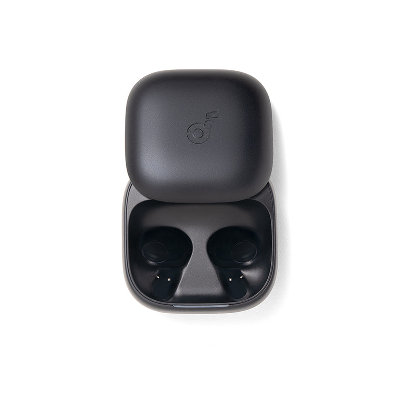Anker soundcore Liberty Buds Ladecase