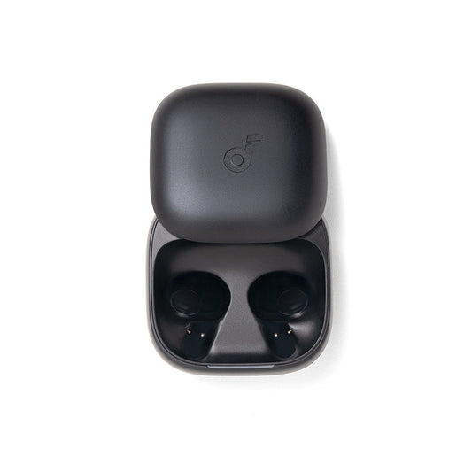 Anker soundcore Liberty Buds Ladecase