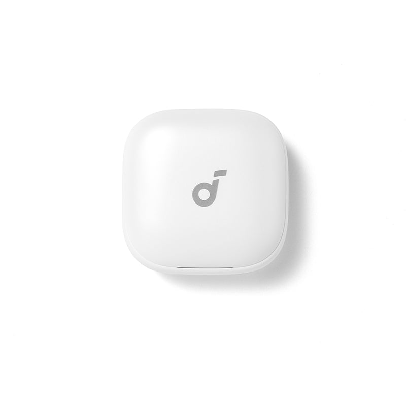 Anker soundcore Liberty Buds Ladecase