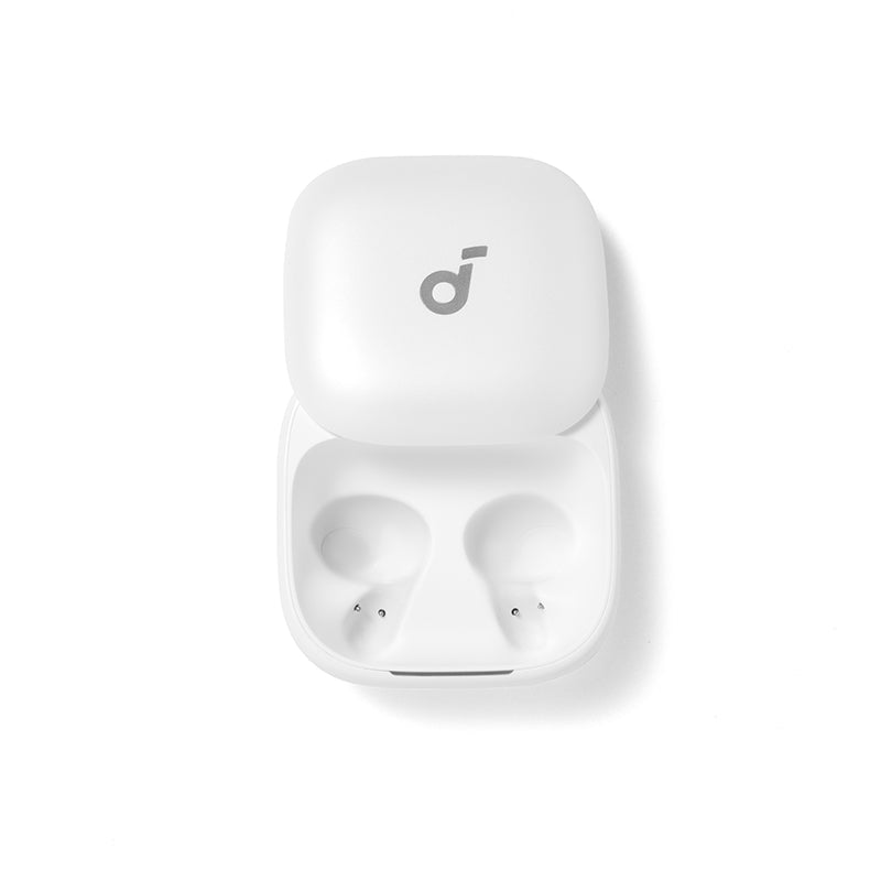 Anker soundcore Liberty Buds Ladecase