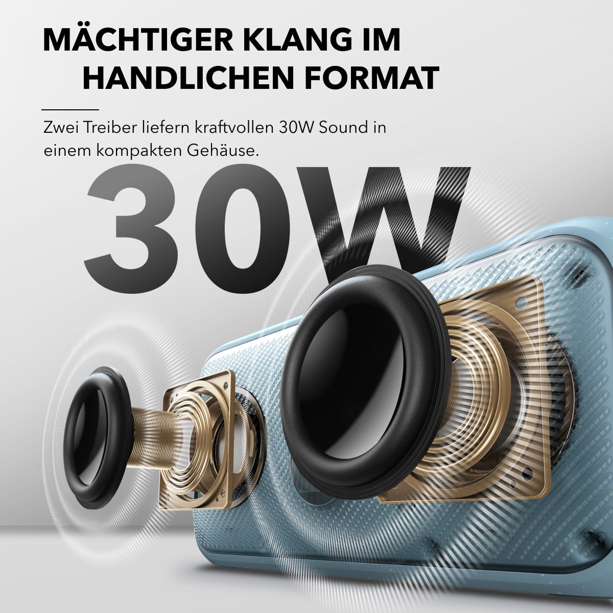 Motion 300  (Generalüberholt)