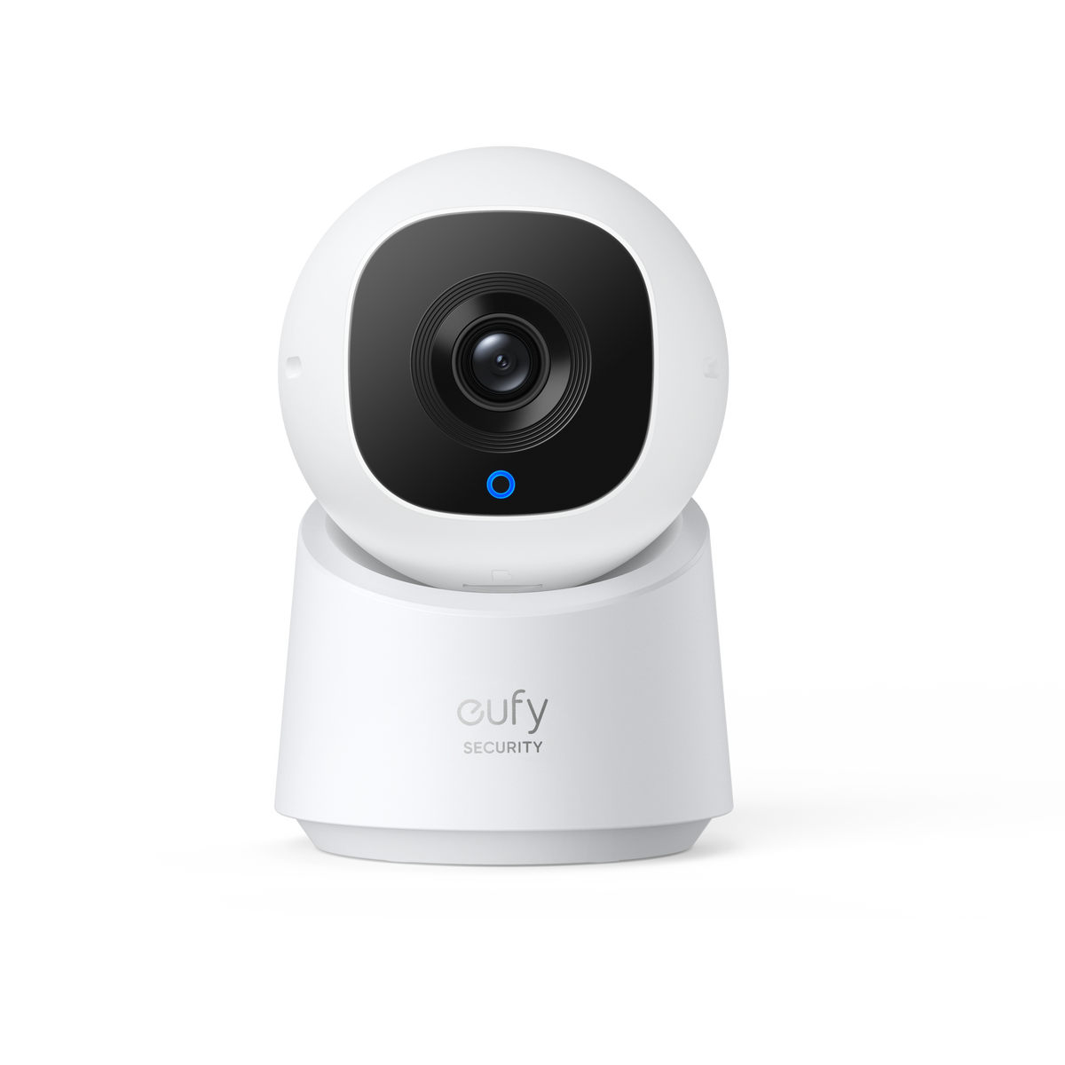 Indoor Cam C210