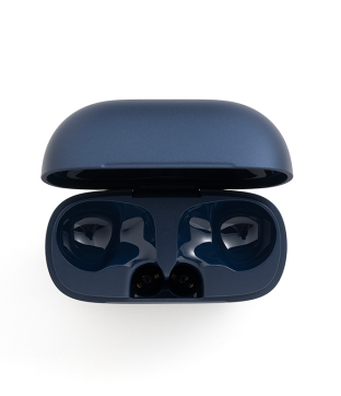 Anker soundcore P42i Ladecase